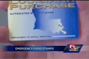 LA Disaster Food Stamp Program Guide | Disaster Information Hub – Latest Natural Disaster News & Emergency Resources