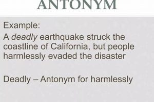 Triumph Over Disaster: Achieving Success Disaster Information Hub – Latest Natural Disaster News & Emergency Resources Triumph Over Disaster: Achieving Success | Disaster Information Hub – Latest Natural Disaster News & Emergency Resources