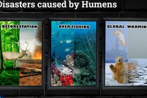 Preventing Human-Caused Disasters: A Guide Disaster Information Hub – Latest Natural Disaster News & Emergency Resources Preventing Human-Caused Disasters: A Guide | Disaster Information Hub – Latest Natural Disaster News & Emergency Resources