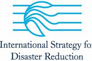 Effective UN Disaster Reduction Strategies & Framework Disaster Information Hub – Latest Natural Disaster News & Emergency Resources Effective UN Disaster Reduction Strategies & Framework | Disaster Information Hub – Latest Natural Disaster News & Emergency Resources