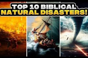 Epic Biblical Natural Disasters: A Study Disaster Information Hub – Latest Natural Disaster News & Emergency Resources Epic Biblical Natural Disasters: A Study | Disaster Information Hub – Latest Natural Disaster News & Emergency Resources