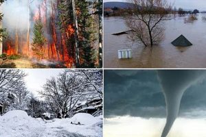 Wyoming's Natural Disaster Risks & Preparedness | Disaster Information Hub – Latest Natural Disaster News & Emergency Resources