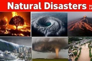 Analyzing Past Natural Disasters: Lessons Learned | Disaster Information Hub – Latest Natural Disaster News & Emergency Resources