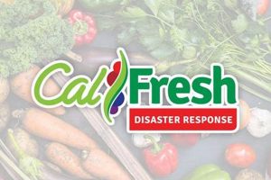 San Diego Disaster CalFresh Guide &amp; Resources | Disaster Information Hub – Latest Natural Disaster News & Emergency Resources