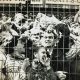 The Hillsborough Disaster: What Happened? A Tragedy Explained | Disaster Information Hub – Latest Natural Disaster News & Emergency Resources