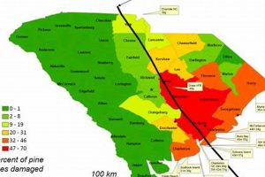 SC Natural Disaster Guide & Prep | Disaster Information Hub – Latest Natural Disaster News & Emergency Resources