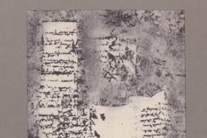 Documenting Disasters: A Practical Guide | Disaster Information Hub – Latest Natural Disaster News & Emergency Resources