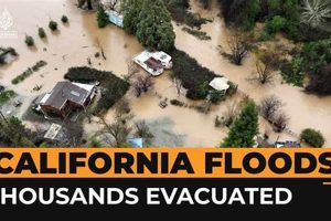 California Natural Disasters: A Guide | Disaster Information Hub – Latest Natural Disaster News & Emergency Resources