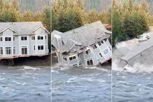 Alaska Emergency Disaster Preparedness & Response | Disaster Information Hub – Latest Natural Disaster News & Emergency Resources