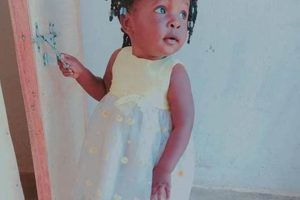 After the Disaster: Did You Take a Distribution? | Disaster Information Hub – Latest Natural Disaster News & Emergency Resources