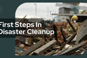Fast & Reliable Disaster Cleanup Services Near You Disaster Information Hub – Latest Natural Disaster News & Emergency Resources Fast & Reliable Disaster Cleanup Services Near You | Disaster Information Hub – Latest Natural Disaster News & Emergency Resources
