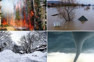 2010: A Year of Devastating Natural Disasters | Disaster Information Hub – Latest Natural Disaster News & Emergency Resources