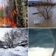 2010: A Year of Devastating Natural Disasters | Disaster Information Hub – Latest Natural Disaster News & Emergency Resources