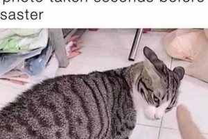 From Seconds to Disaster: Averting Catastrophe | Disaster Information Hub – Latest Natural Disaster News & Emergency Resources