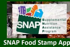 Get Disaster Food Stamps Online: Apply Now | Disaster Information Hub – Latest Natural Disaster News & Emergency Resources