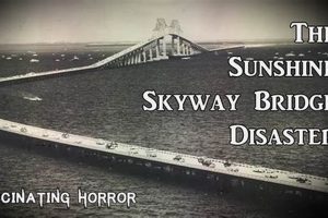 Sunshine Skyway Disaster Disaster Information Hub – Latest Natural Disaster News & Emergency Resources Sunshine Skyway Disaster | Disaster Information Hub – Latest Natural Disaster News & Emergency Resources
