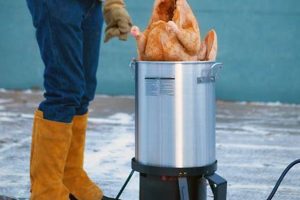 Avoid Frying Turkey Disasters This Thanksgiving | Disaster Information Hub – Latest Natural Disaster News & Emergency Resources