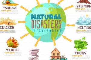 Qualifying for Disaster Distributions: Rules & Relief | Disaster Information Hub – Latest Natural Disaster News & Emergency Resources