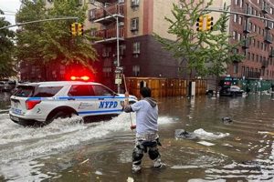 NYC Natural Disaster Risks & Preparedness | Disaster Information Hub – Latest Natural Disaster News & Emergency Resources