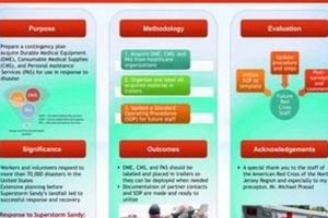 Launch Your Career: Disaster Relief Internships | Disaster Information Hub – Latest Natural Disaster News & Emergency Resources