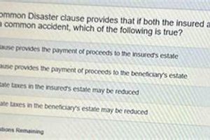 Understanding Common Disaster Clauses & Insured Persons | Disaster Information Hub – Latest Natural Disaster News & Emergency Resources