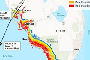 Hurricane Ian Disaster Code: A Guide | Disaster Information Hub – Latest Natural Disaster News & Emergency Resources