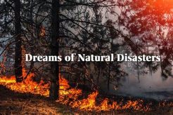 Decoding Natural Disaster Dreams: Symbolism & Meaning | Disaster Information Hub – Latest Natural Disaster News & Emergency Resources