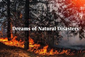 Decoding Natural Disaster Dreams: Symbolism & Meaning | Disaster Information Hub – Latest Natural Disaster News & Emergency Resources