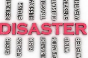 Disaster Synonyms: Exploring Words for Calamity | Disaster Information Hub – Latest Natural Disaster News & Emergency Resources
