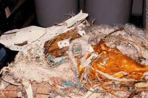 Challenger Disaster: Crew Remains and Recovery Disaster Information Hub – Latest Natural Disaster News & Emergency Resources Challenger Disaster: Crew Remains and Recovery | Disaster Information Hub – Latest Natural Disaster News & Emergency Resources