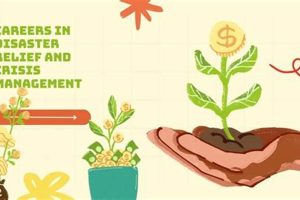 Top Careers in Disaster Relief: Guide & Jobs Disaster Information Hub – Latest Natural Disaster News & Emergency Resources Top Careers in Disaster Relief: Guide & Jobs | Disaster Information Hub – Latest Natural Disaster News & Emergency Resources