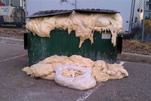 Avoid Dough Rise Disasters: Baking Tips & Tricks Disaster Information Hub – Latest Natural Disaster News & Emergency Resources Avoid Dough Rise Disasters: Baking Tips & Tricks | Disaster Information Hub – Latest Natural Disaster News & Emergency Resources