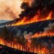 Surviving Wildfire Disasters: A Guide | Disaster Information Hub – Latest Natural Disaster News & Emergency Resources
