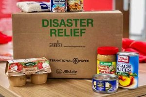 Essential Guide to Food Disaster Relief Programs | Disaster Information Hub – Latest Natural Disaster News & Emergency Resources