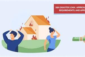 SBA Disaster Loan Approval: How Long Does It Take? Disaster Information Hub – Latest Natural Disaster News & Emergency Resources SBA Disaster Loan Approval: How Long Does It Take? | Disaster Information Hub – Latest Natural Disaster News & Emergency Resources