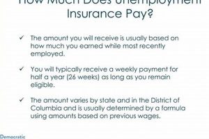 Disaster Unemployment Pay: How Much Can You Get? Disaster Information Hub – Latest Natural Disaster News & Emergency Resources Disaster Unemployment Pay: How Much Can You Get? | Disaster Information Hub – Latest Natural Disaster News & Emergency Resources