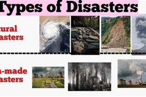 Real-World Examples of Disaster Scenarios | Disaster Information Hub – Latest Natural Disaster News & Emergency Resources