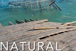 Understanding Natural Hazards, Disasters, and Catastrophes | Disaster Information Hub – Latest Natural Disaster News & Emergency Resources