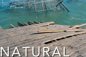 Understanding Natural Hazards, Disasters, and Catastrophes | Disaster Information Hub – Latest Natural Disaster News & Emergency Resources