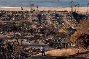 LA Disaster Prep: Earthquake & Wildfire Guide Disaster Information Hub – Latest Natural Disaster News & Emergency Resources LA Disaster Prep: Earthquake & Wildfire Guide | Disaster Information Hub – Latest Natural Disaster News & Emergency Resources
