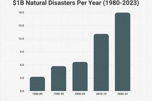 Global Disaster Distribution Trends (2019-2022) Disaster Information Hub – Latest Natural Disaster News & Emergency Resources Global Disaster Distribution Trends (2019-2022) | Disaster Information Hub – Latest Natural Disaster News & Emergency Resources