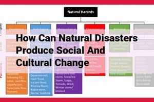 Disasters' Impact: Social & Cultural Shifts After Catastrophe Disaster Information Hub – Latest Natural Disaster News & Emergency Resources Disasters' Impact: Social & Cultural Shifts After Catastrophe | Disaster Information Hub – Latest Natural Disaster News & Emergency Resources