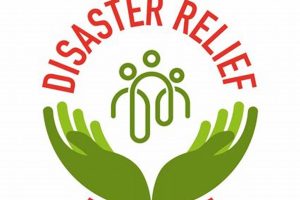 Top Disaster Relief Startups: Tech & Innovation Disaster Information Hub – Latest Natural Disaster News & Emergency Resources Top Disaster Relief Startups: Tech & Innovation | Disaster Information Hub – Latest Natural Disaster News & Emergency Resources