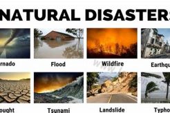 Understanding Natural Disasters: A Definition Disaster Information Hub – Latest Natural Disaster News & Emergency Resources Understanding Natural Disasters: A Definition | Disaster Information Hub – Latest Natural Disaster News & Emergency Resources