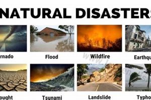 Understanding Natural Disasters: A Definition Disaster Information Hub – Latest Natural Disaster News & Emergency Resources Understanding Natural Disasters: A Definition | Disaster Information Hub – Latest Natural Disaster News & Emergency Resources