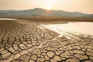 Understanding Drought: A Natural Disaster? Disaster Information Hub – Latest Natural Disaster News & Emergency Resources Understanding Drought: A Natural Disaster? | Disaster Information Hub – Latest Natural Disaster News & Emergency Resources