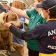 North Valley Animal Disaster Group: Rescue & Relief | Disaster Information Hub – Latest Natural Disaster News & Emergency Resources
