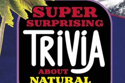 Test Your Natural Disaster Trivia Knowledge! Disaster Information Hub – Latest Natural Disaster News & Emergency Resources Test Your Natural Disaster Trivia Knowledge! | Disaster Information Hub – Latest Natural Disaster News & Emergency Resources