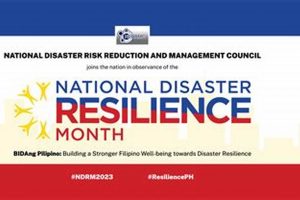 Boosting National Disaster Resilience Strategies Disaster Information Hub – Latest Natural Disaster News & Emergency Resources Boosting National Disaster Resilience Strategies | Disaster Information Hub – Latest Natural Disaster News & Emergency Resources