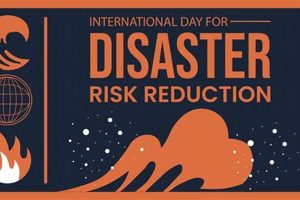 Prepare for Disasters: International Day for Disaster Risk Reduction Efforts Disaster Information Hub – Latest Natural Disaster News & Emergency Resources Prepare for Disasters: International Day for Disaster Risk Reduction Efforts | Disaster Information Hub – Latest Natural Disaster News & Emergency Resources